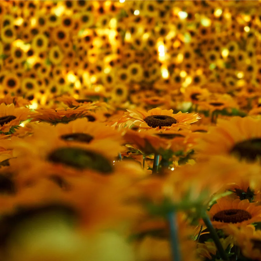 Información Práctica